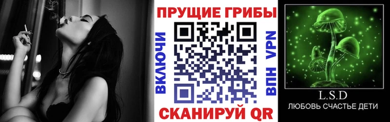 Псилоцибиновые грибы мицелий  Электрогорск 